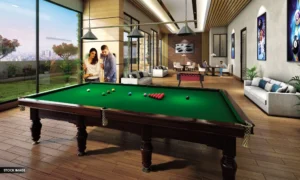 Ruparel Vivanza Amenities pooltable